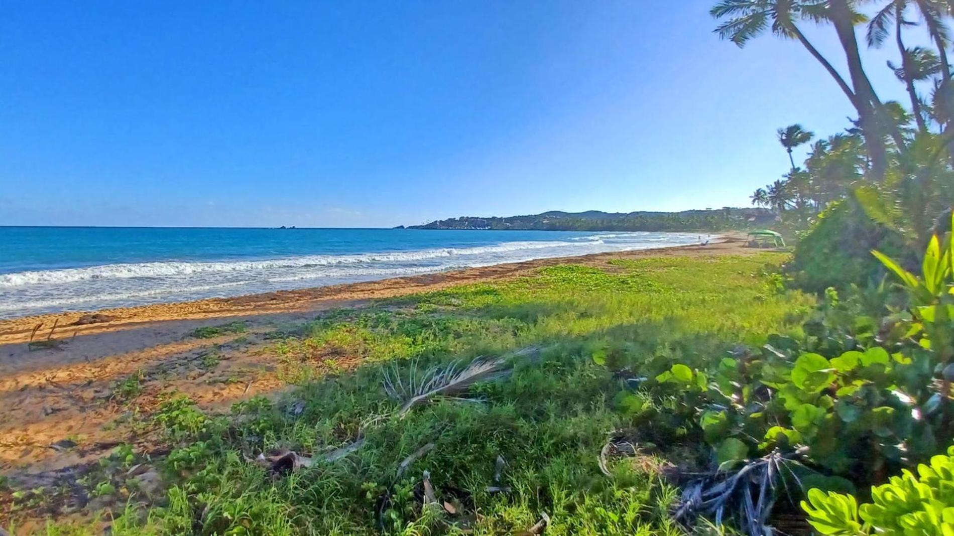Turtle Pond Apartman Humacao Kültér fotó